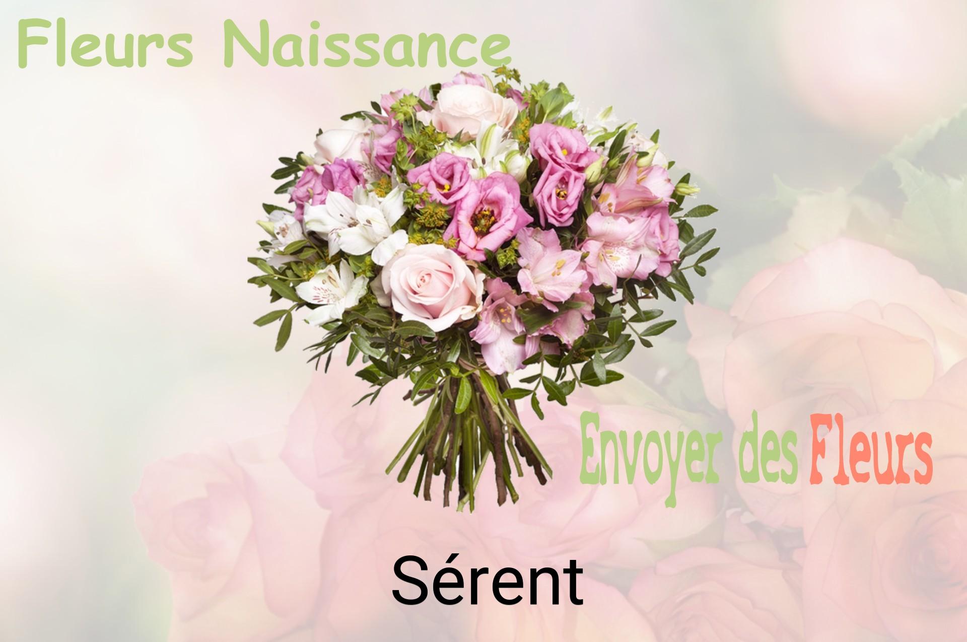 Bouquet de fleurs de naissance livré à Sérent